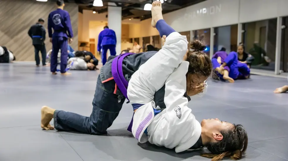 Brazilian Jiu-Jitsu in Popular Culture