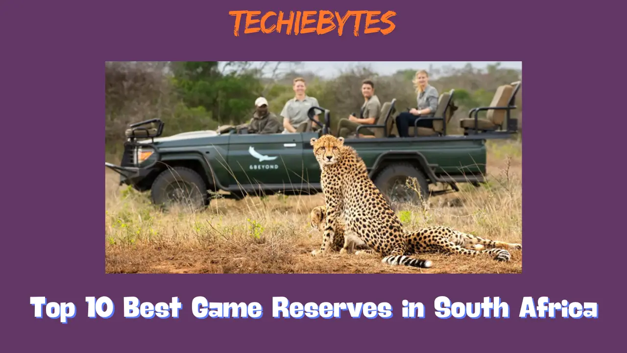 Top 10 Best Game Reserves in South Africa